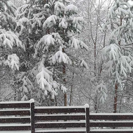 Detelina Apartamento Bansko