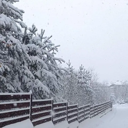 Detelina Apartamento