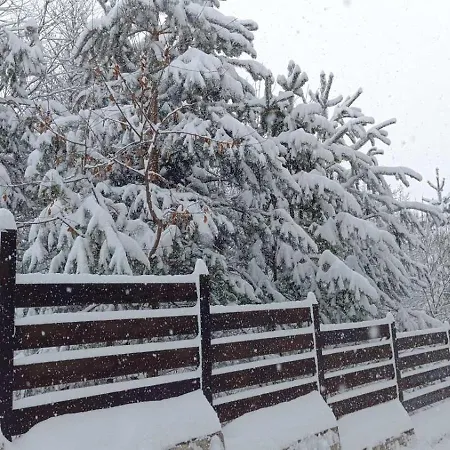 Detelina Διαμέρισμα Μπάνσκο