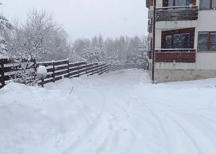 Detelina Appartement *