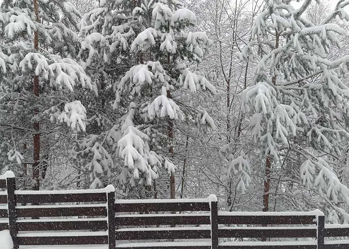 Detelina Appartement Bansko