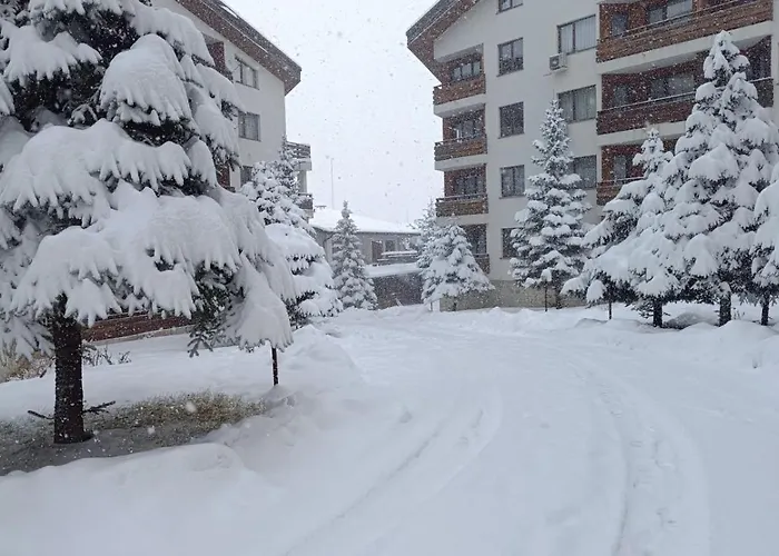 Detelina Appartement Bansko