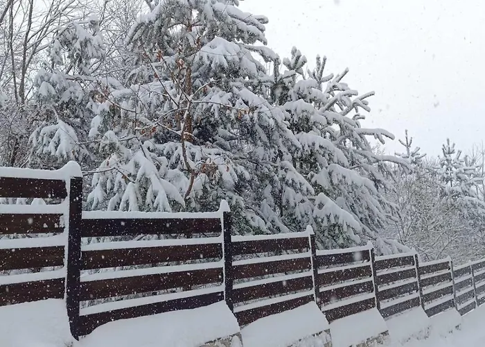 Detelina Appartement Bansko